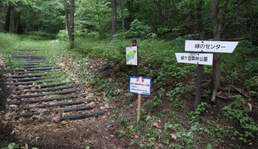 北見 緑ヶ丘 -市街地に隣接する森林公園-